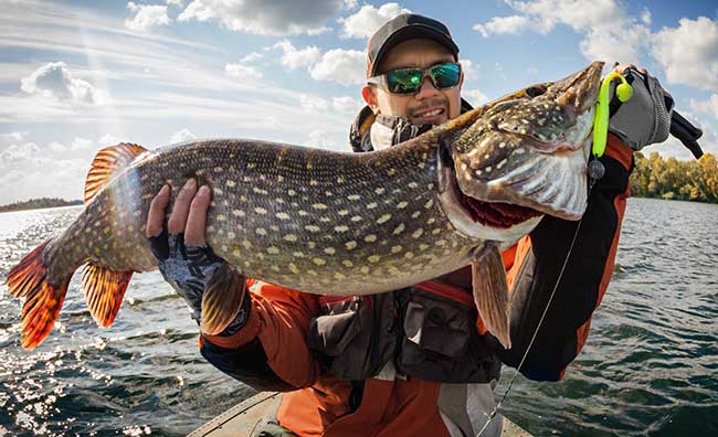 Ontario Fly-In Fishing